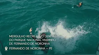 Mergulho Recreativo no Parque Nacional Marinho